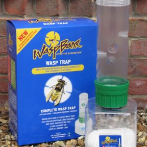Course & Ponds Waspbane Wasp Trap 2