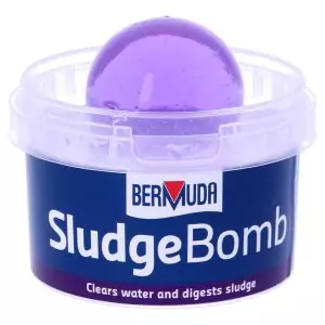 Pond Sludge Bomb (Bermuda)