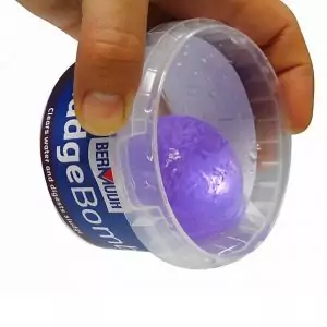 Alternative view of Pond Sludge Bomb (Bermuda)